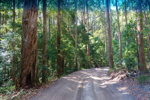 Fraser Island 4WD Tour From Rainbow Beach - Accommodation VIC 4