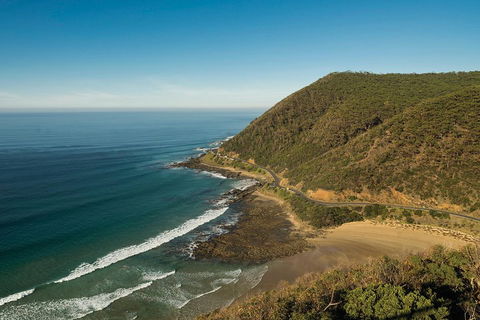 Great Ocean Road Adventure - Private Tour - Reverse - Accommodation VIC 2