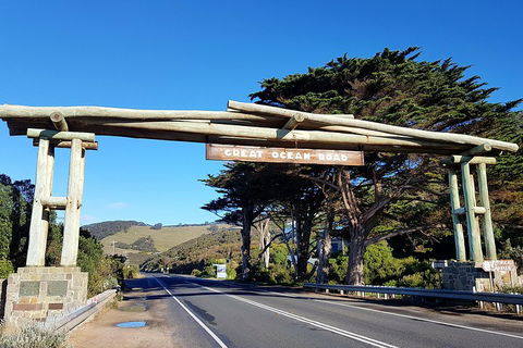 Great Ocean Road Adventure - Private Tour - Reverse - Accommodation VIC 5