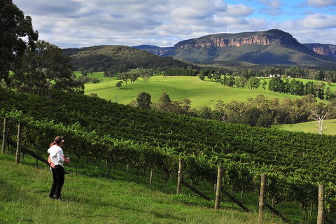 Private Blue Mountains And Winery Day-Trip From Sydney - Accommodation VIC 2