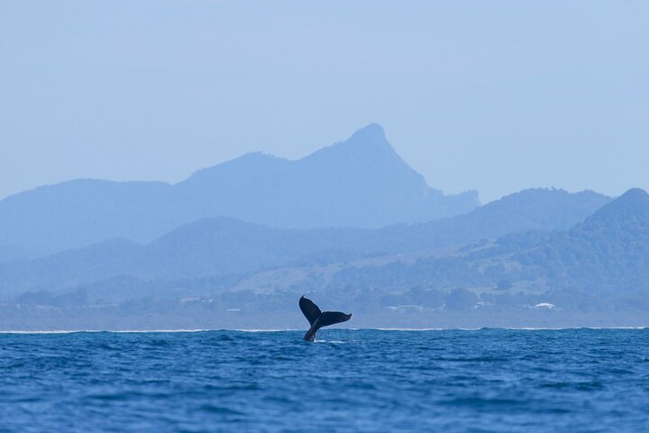 Byron Bay NSW Accommodation VIC