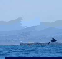 The Byron Bay Sea Kayak Tour - Accommodation VIC