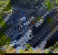 Byron Bay Hinterland Tour Including Rainforest Walk to Minyon Falls - Accommodation VIC