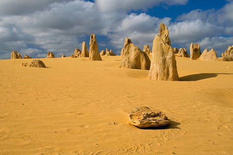 The Pinnacles, Sea And Dunescapes, Bush Reserve And Sunset Day Tour - Accommodation VIC 0