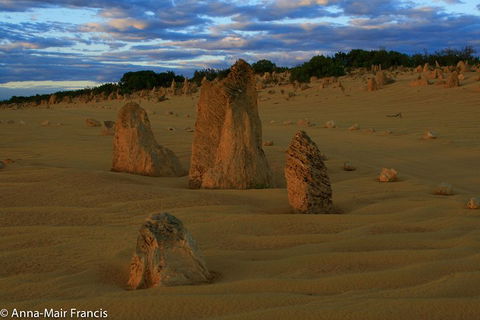The Pinnacles, Sea And Dunescapes, Bush Reserve And Sunset Day Tour - Accommodation VIC 1
