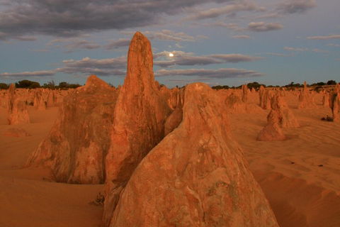 The Pinnacles, Sea And Dunescapes, Bush Reserve And Sunset Day Tour - Accommodation VIC 4