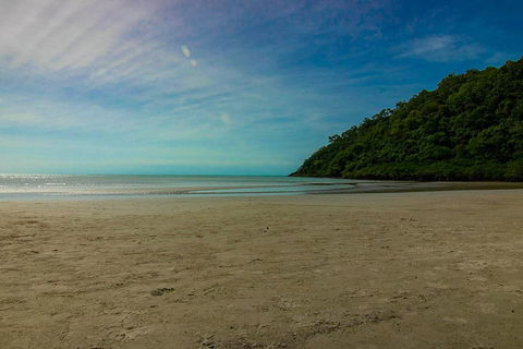 Cape Tribulation Day Tour - Accommodation VIC 2