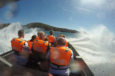 Noosa Thriller - 500hp Ocean Adventure Ride - Accommodation VIC 3