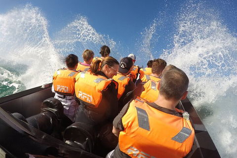 Noosa Thriller - 500hp Ocean Adventure Ride - Accommodation VIC 4