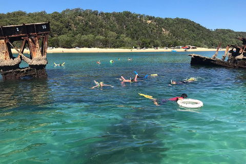 All Inclusive Dolphin And Tangalooma Wrecks Cruise - Accommodation VIC 0