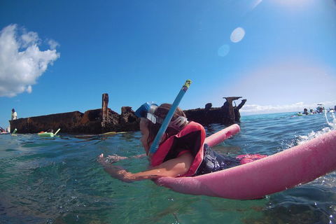 All Inclusive Dolphin And Tangalooma Wrecks Cruise - Accommodation VIC 2