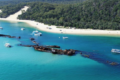 All Inclusive Dolphin And Tangalooma Wrecks Cruise - Accommodation VIC 4