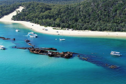 All Inclusive Tangalooma Wrecks Cruise Tour From Gold Coast - Accommodation VIC 0