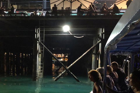 Darwin Sunset Cruise Including Fish 'n' Chips - Accommodation VIC 0