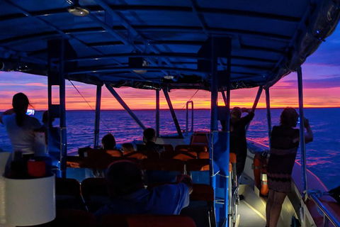 Darwin Sunset Cruise Including Fish 'n' Chips - Accommodation VIC 1