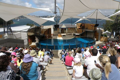 Sydney Taronga Zoo General Entry Ticket - Accommodation VIC 5