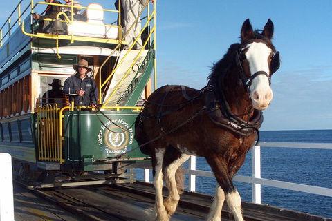 Full-Day Tour In South Australia Highlights - Accommodation VIC 1