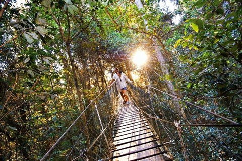 O'Reilly's & Lamington National Park From Brisbane - Accommodation VIC 5