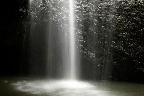 Natural Bridge Glow Worm Night Tour From Gold Coast - Accommodation VIC 2