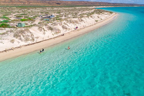 Ningaloo In A Day - Full Day Hike And Snorkel Tour With Lunch - Accommodation VIC 0