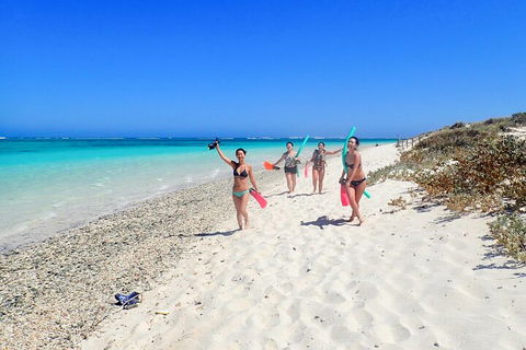 Ningaloo In A Day - Full Day Hike And Snorkel Tour With Lunch - Accommodation VIC 1