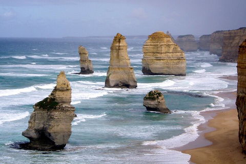 LGBT+ Friendly 2 Day Private Tour Great Ocean Road + Phillip Island - Accommodation VIC 0
