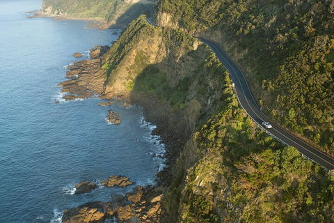 LGBT+ Friendly 2 Day Private Tour Great Ocean Road + Phillip Island - Accommodation VIC 4
