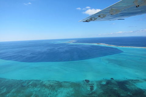 Shipwreck Special Full Day Tour Of The Abrolhos Islands - Accommodation VIC 2