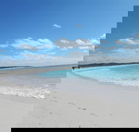 Shipwreck Special Nature Tour/Half Day Tour - Accommodation VIC