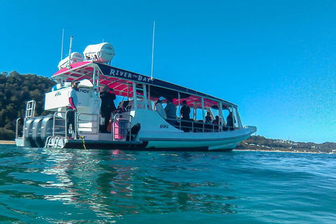 Best Of Moreton Bay Cruise - Accommodation VIC 0