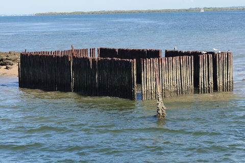 Best Of Moreton Bay Cruise - Accommodation VIC 1