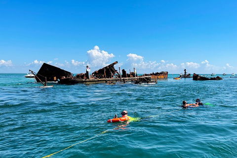 Best Of Moreton Bay Cruise - Accommodation VIC 5