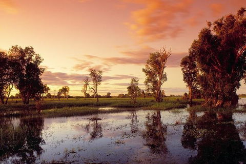 3-Day Kakadu National Park And Arnhem Land Explorer Tour From Darwin - Accommodation VIC 1