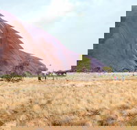 Uluru Sunrise and Guided Base Walk - Accommodation VIC