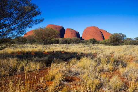 Kata Tjuta Sunrise And Valley Of The Winds Half-Day Trip - Accommodation VIC 1
