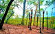 Tiwi Islands Cultural Experience From Darwin Including Ferry - thumb 3