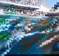 Great Barrier Reef Day Cruise from Cairns Including Snorkeling and Marine Biologist Presentation - Accommodation VIC