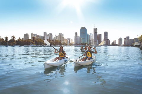 Brisbane Kayak Tour - Accommodation VIC 0