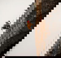 100 Metre Abseil Mount Wellington Hobart - Accommodation VIC