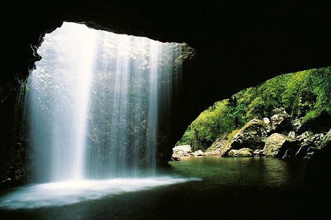 Natural Bridge & Springbrook Waterfalls Tour - Accommodation VIC 0