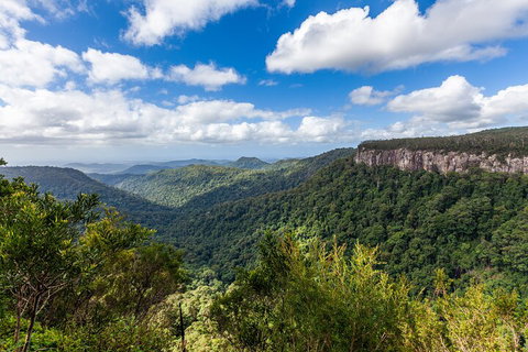 Natural Bridge & Springbrook Waterfalls Tour - Accommodation VIC 1