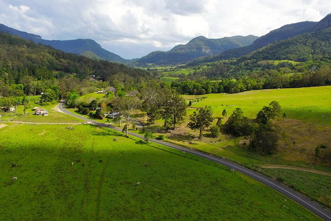 Natural Bridge & Springbrook Waterfalls Tour - Accommodation VIC 2