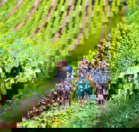 Tasmanian Wine Tour - Accommodation VIC