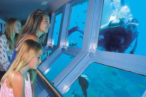 Quicksilver Outer Great Barrier Reef Snorkel Cruise From Port Douglas - Accommodation VIC 1