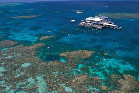 Quicksilver Outer Great Barrier Reef Snorkel Cruise From Port Douglas - Accommodation VIC 3