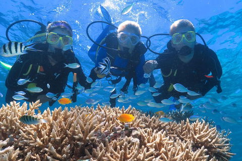 Quicksilver Outer Great Barrier Reef Snorkel Cruise From Port Douglas - Accommodation VIC 4