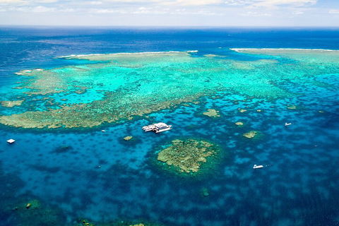 Quicksilver Outer Great Barrier Reef Snorkel Cruise From Port Douglas - Accommodation VIC 5