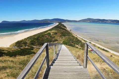 Bruny Island Private Charter Service - Accommodation VIC 4