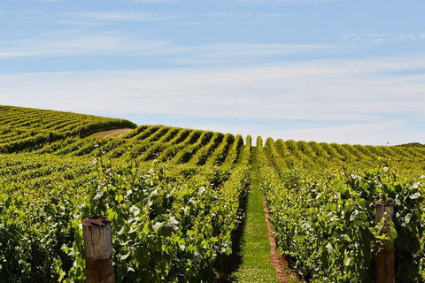 West Tamar Wine Tour - Accommodation VIC 2