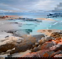 Wineglass Bay Private Charter Service - Accommodation VIC